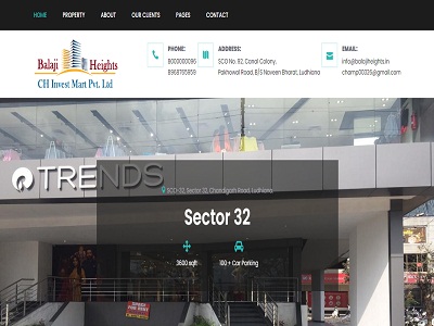 Web Design and Development Company in Ludhiana